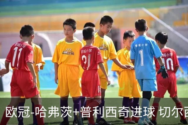 欧冠-哈弗茨+普利西奇进球 切尔西主场2-0胜里尔